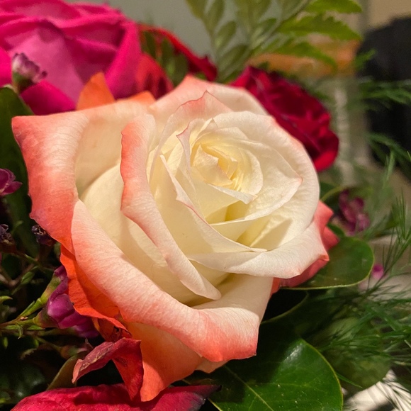 Meet your Posher, Posh - Picture 1 of 1